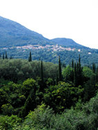 una muestra del paisaje más característico de la isla de Corfú: pueblos rodeados de laderas tapizadas por olivos y cipreses.

